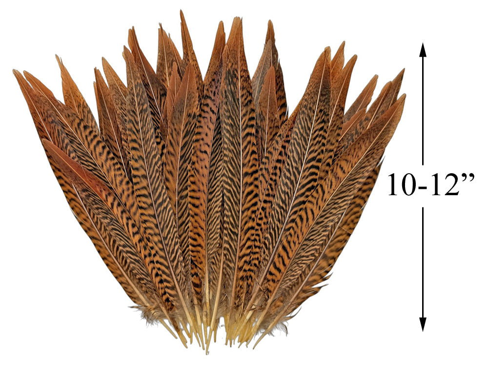 10 pieces - 10-12" Natural Golden Tail Accent Feathers for Wedding Centerpieces