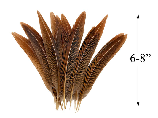 10 pieces - 6-8" Natural Golden Tail Accent Feathers for Wedding Centerpieces