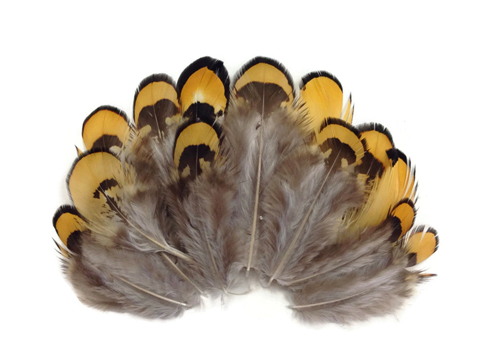10 oz - Yellow Pack Golden Reeves Accent Feathers for Wedding Centerpieces