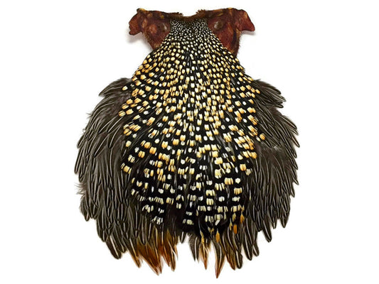 1 piece - Natural Grade B Gold Accent Feathers for Wedding Backdrops & Arches