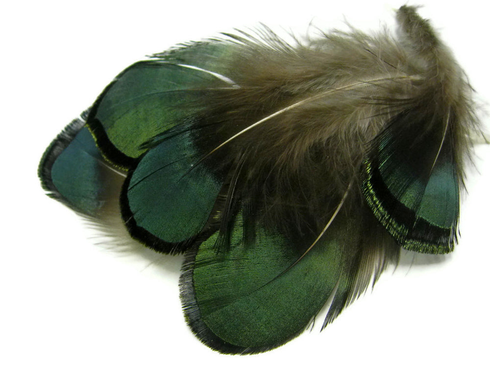 1 yard - Bronze Green Lady Amherst Accent Feathers for Wedding Backdrops & Arches