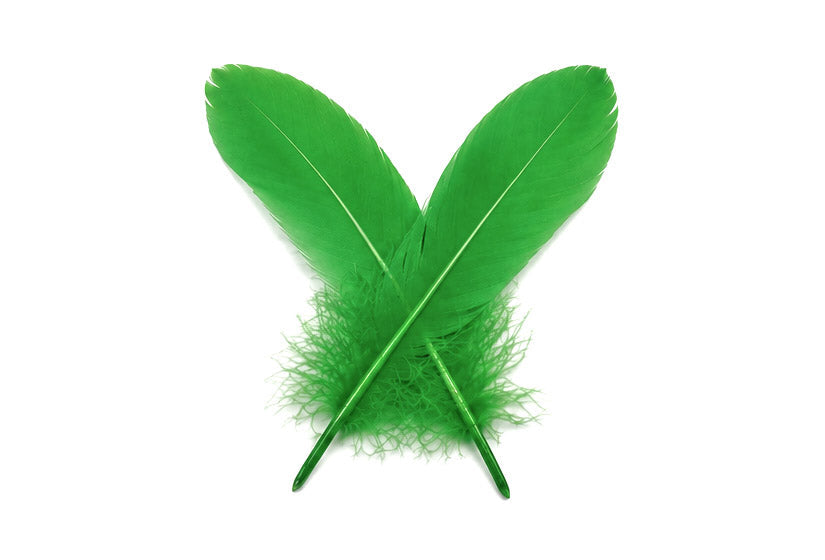 A quarter pound - Green Kelly Satinettes Pallet Accent Feathers for Wedding Backdrops & Arches