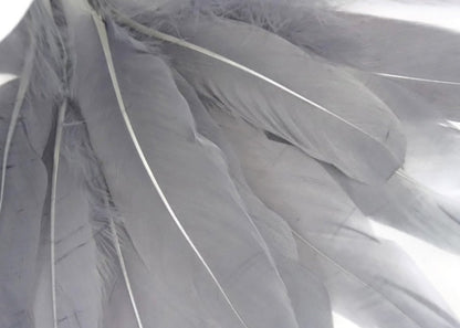 A quarter pound - Silver Gray Satinettes Pallet Soft Accent Feathers for Wedding Backdrops & Arches