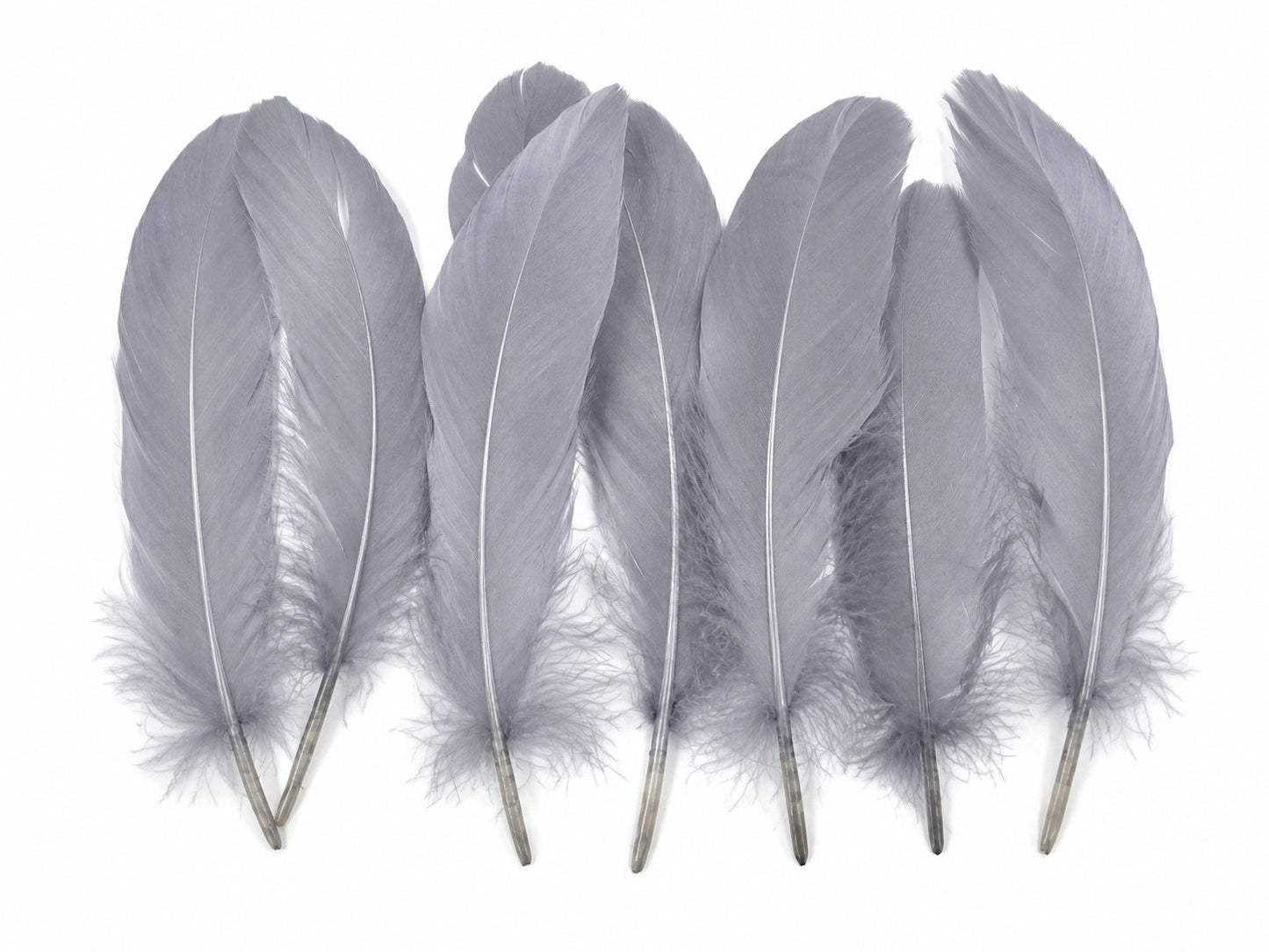 A quarter pound - Silver Gray Satinettes Pallet Soft Accent Feathers for Wedding Backdrops & Arches