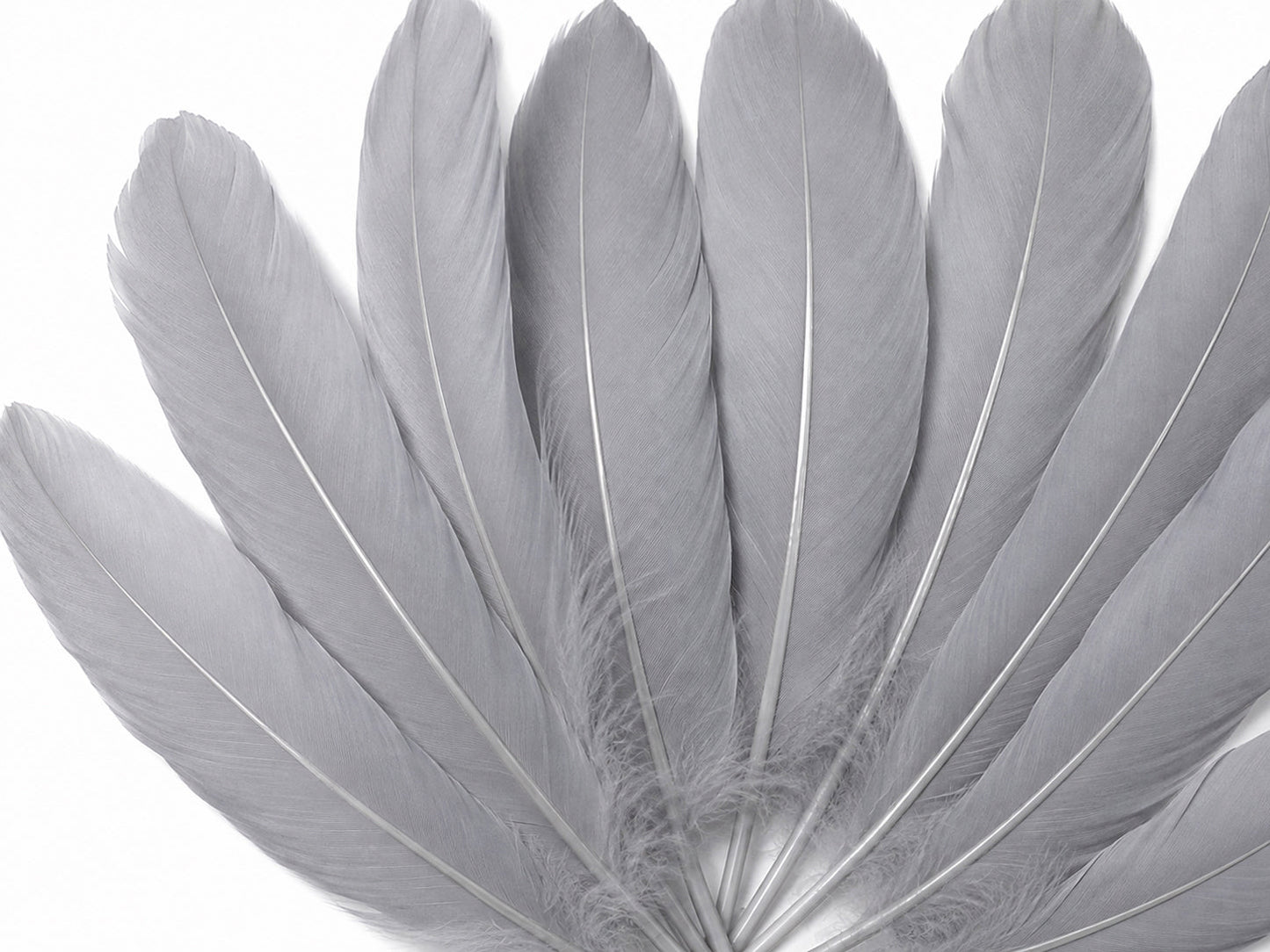 A quarter pound - Silver Gray Satinettes Pallet Soft Accent Feathers for Wedding Backdrops & Arches