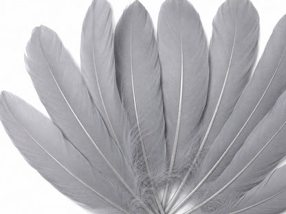 A quarter pound - Silver Gray Satinettes Pallet Soft Accent Feathers for Wedding Backdrops & Arches