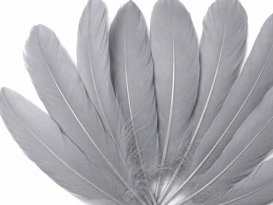 A quarter pound - Silver Gray Satinettes Pallet Soft Accent Feathers for Wedding Backdrops & Arches