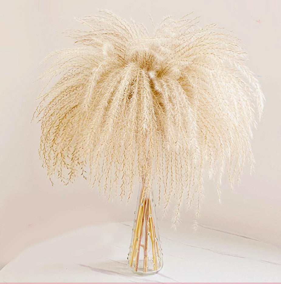 10 Pieces - 14-16" Natural Ivory Preserved Dried Horsetail Whisk Plume Reed Grass