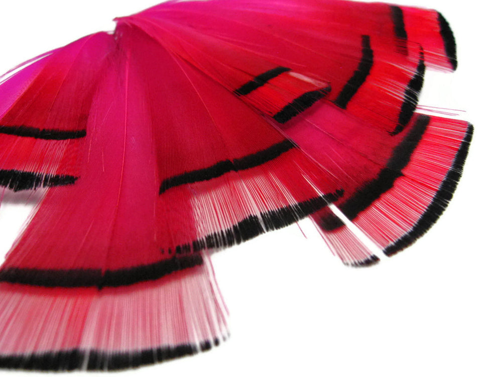 1 dozen - Hot Pink Dyed Golden Tippet Accent Feathers for Wedding Centerpieces