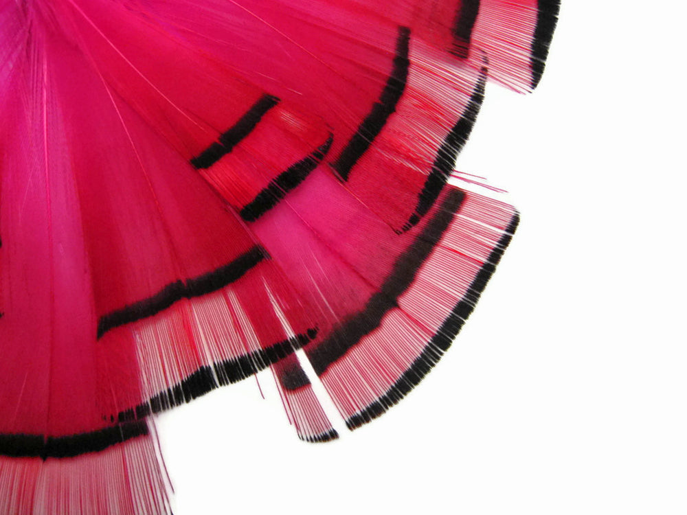1 dozen - Hot Pink Dyed Golden Tippet Accent Feathers for Wedding Centerpieces
