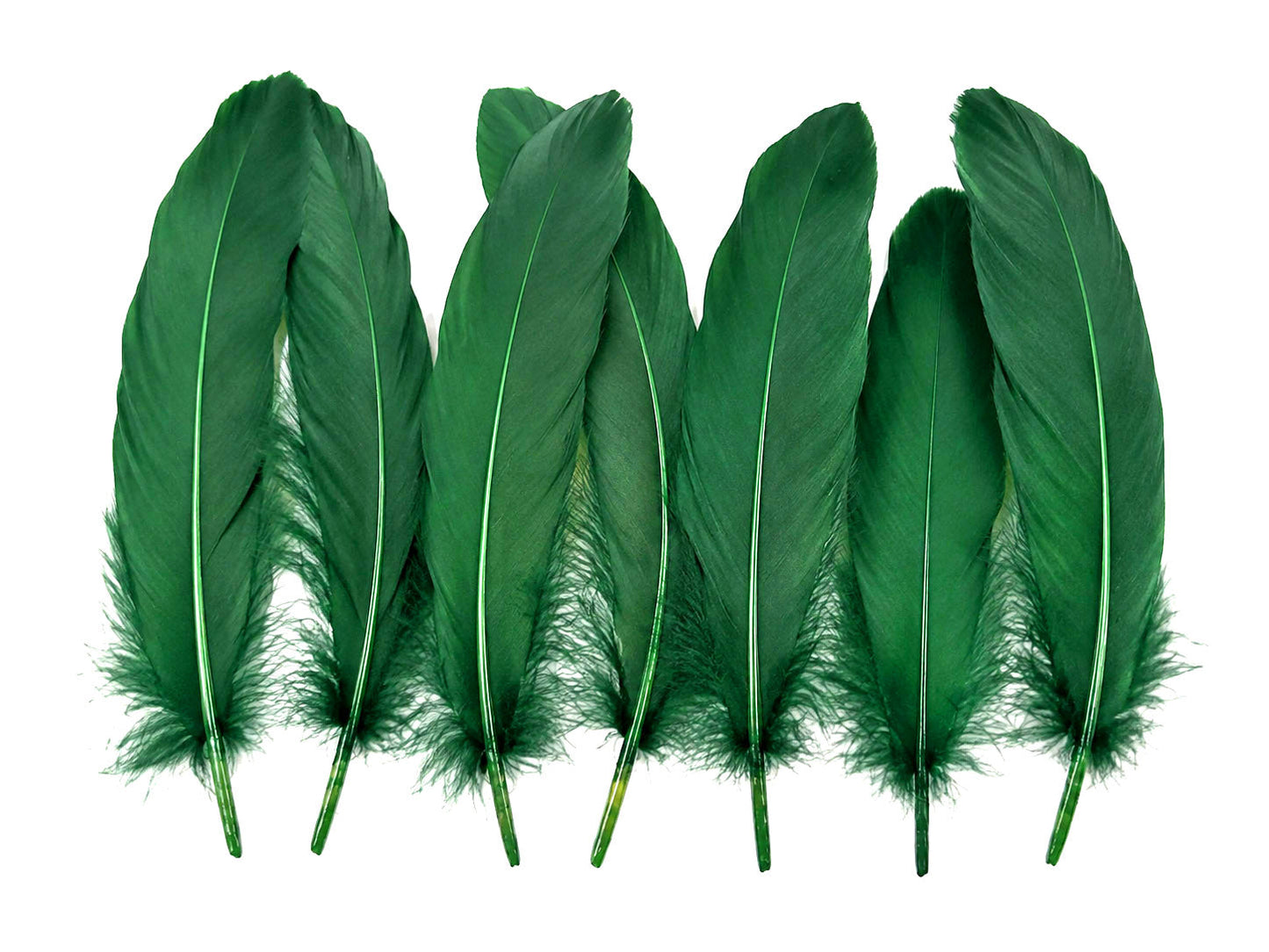 3 oz - Hunter Green Pack Satinettes Pallet Accent Feathers for Wedding Bouquets & Boutonnieres