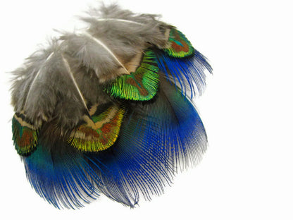 20 pieces - Green Mix Iridescent Blue Peacock Feathers for Wedding Bouquets & Boutonnieres