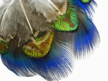 20 pieces - Green Mix Iridescent Blue Peacock Feathers for Wedding Bouquets & Boutonnieres