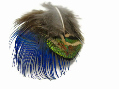 20 pieces - Green Mix Iridescent Blue Peacock Feathers for Wedding Bouquets & Boutonnieres
