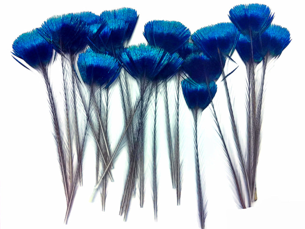 10 pieces - Blue Iridescent Crown Corona Peacock Feathers for Wedding Bouquets & Boutonnieres