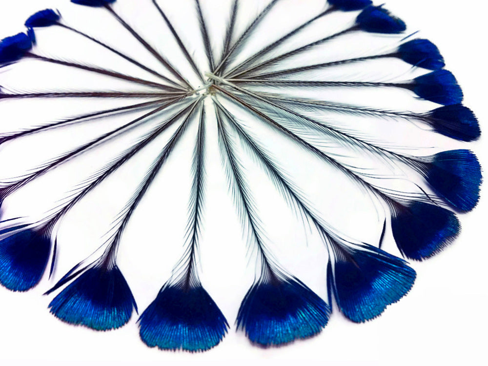 10 pieces - Blue Iridescent Crown Corona Peacock Feathers for Wedding Bouquets & Boutonnieres