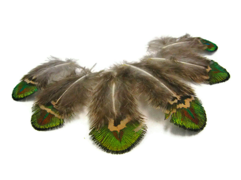 10 pieces - Green Iridescent Gold Plumage Peacock Feathers for Wedding Bouquets & Boutonnieres