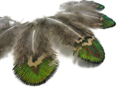 10 pieces - Green Iridescent Gold Plumage Peacock Feathers for Wedding Bouquets & Boutonnieres