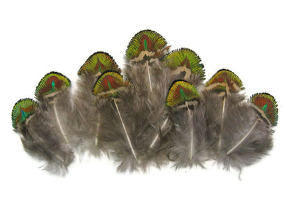 10 pieces - Green Iridescent Gold Plumage Peacock Feathers for Wedding Bouquets & Boutonnieres