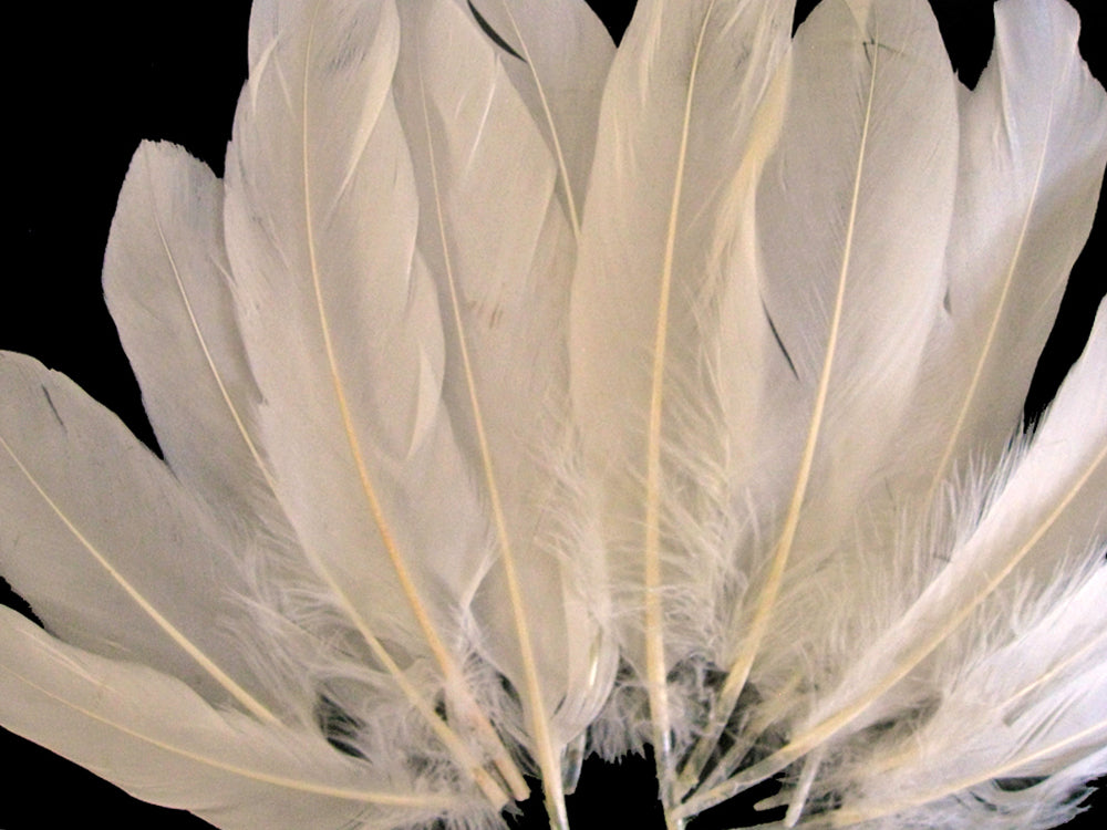 3 oz - Ivory Pack Satinettes Pallet Accent Feathers for Wedding Bouquets & Boutonnieres