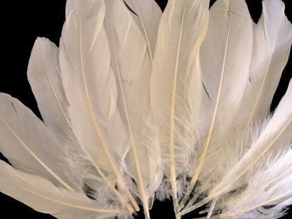 3 oz - Ivory Pack Satinettes Pallet Accent Feathers for Wedding Bouquets & Boutonnieres