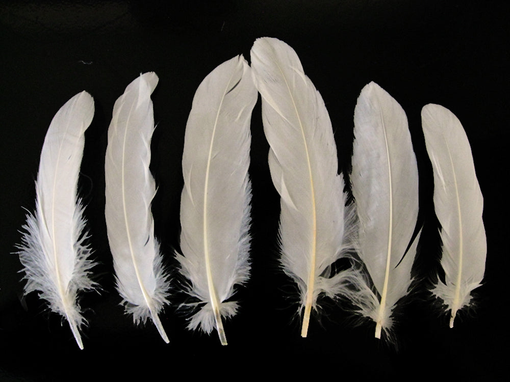 3 oz - Ivory Pack Satinettes Pallet Accent Feathers for Wedding Bouquets & Boutonnieres