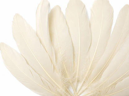 3 oz - Ivory Pack Satinettes Pallet Accent Feathers for Wedding Bouquets & Boutonnieres
