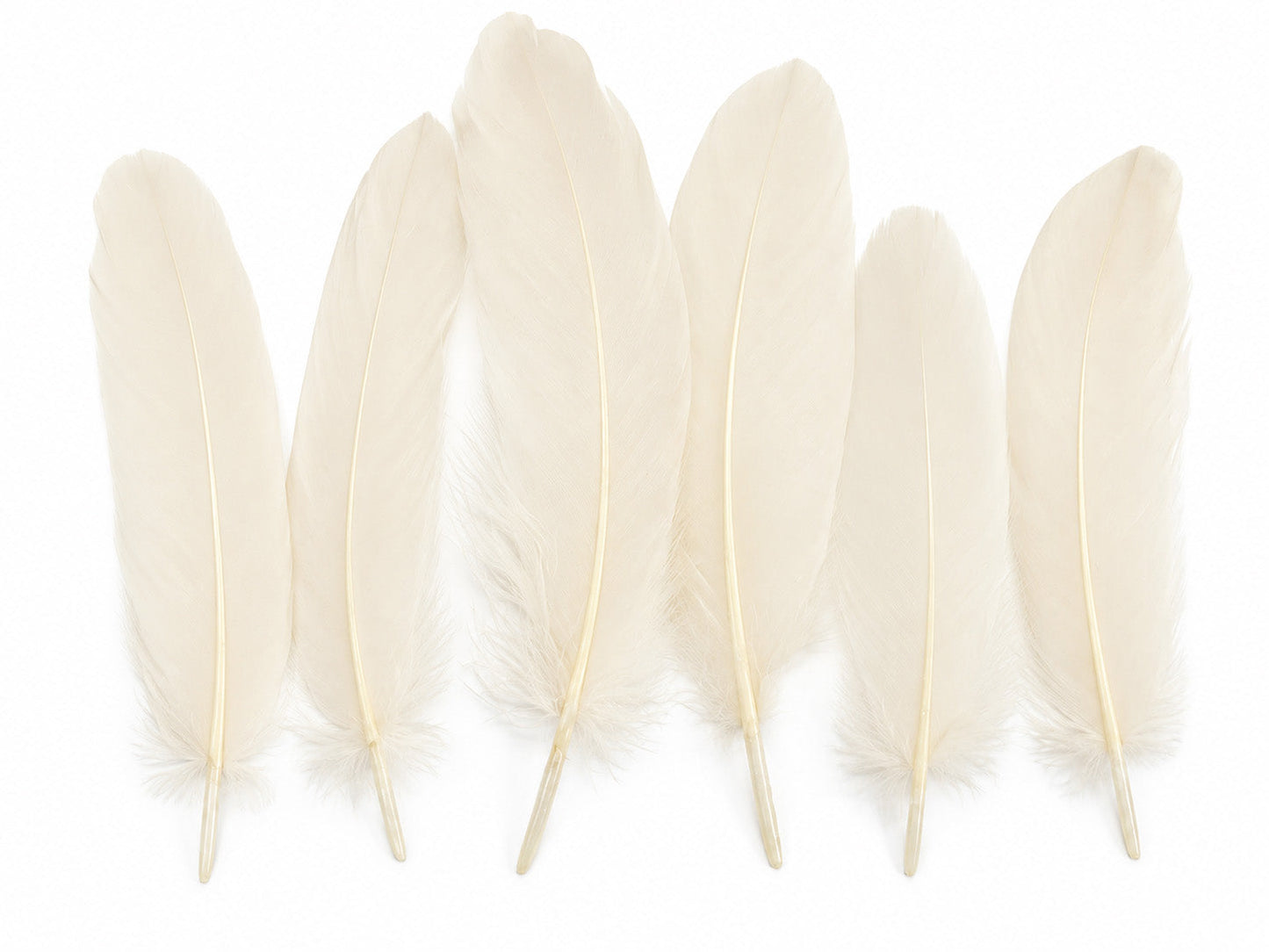 3 oz - Ivory Pack Satinettes Pallet Accent Feathers for Wedding Bouquets & Boutonnieres