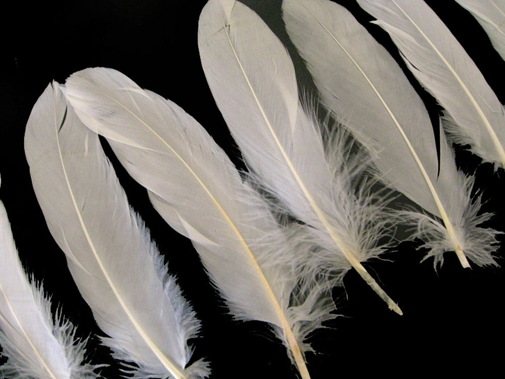 3 oz - Ivory Pack Satinettes Pallet Accent Feathers for Wedding Bouquets & Boutonnieres