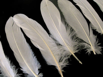 3 oz - Ivory Pack Satinettes Pallet Accent Feathers for Wedding Bouquets & Boutonnieres