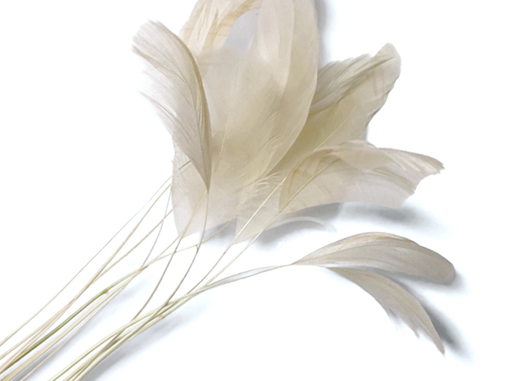 1 dozen - Ivory Stripped Coque Tail Accent Feathers for Wedding Centerpieces