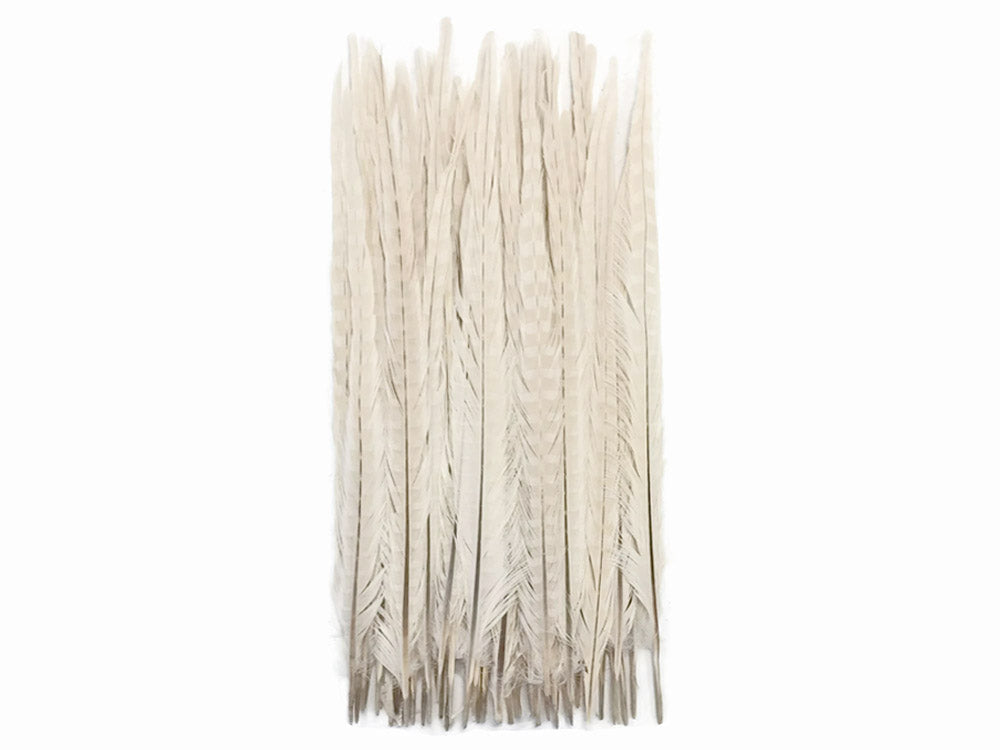 10 pieces - 18-22" Ivory Bleached Dyed Ringneck Accent Feathers for Wedding Centerpieces