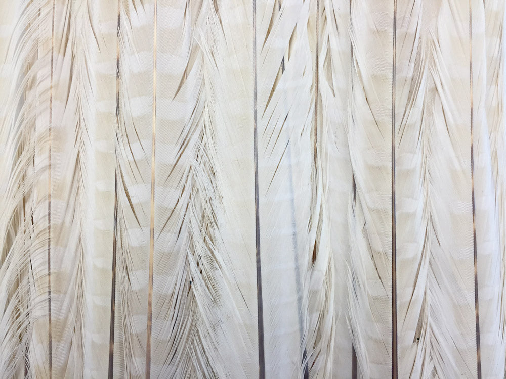 10 pieces - 18-22" Ivory Bleached Dyed Ringneck Accent Feathers for Wedding Centerpieces