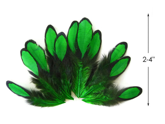 1 Dozen - Kelly Green Whiting Farms Laced Hen Saddle Feathers