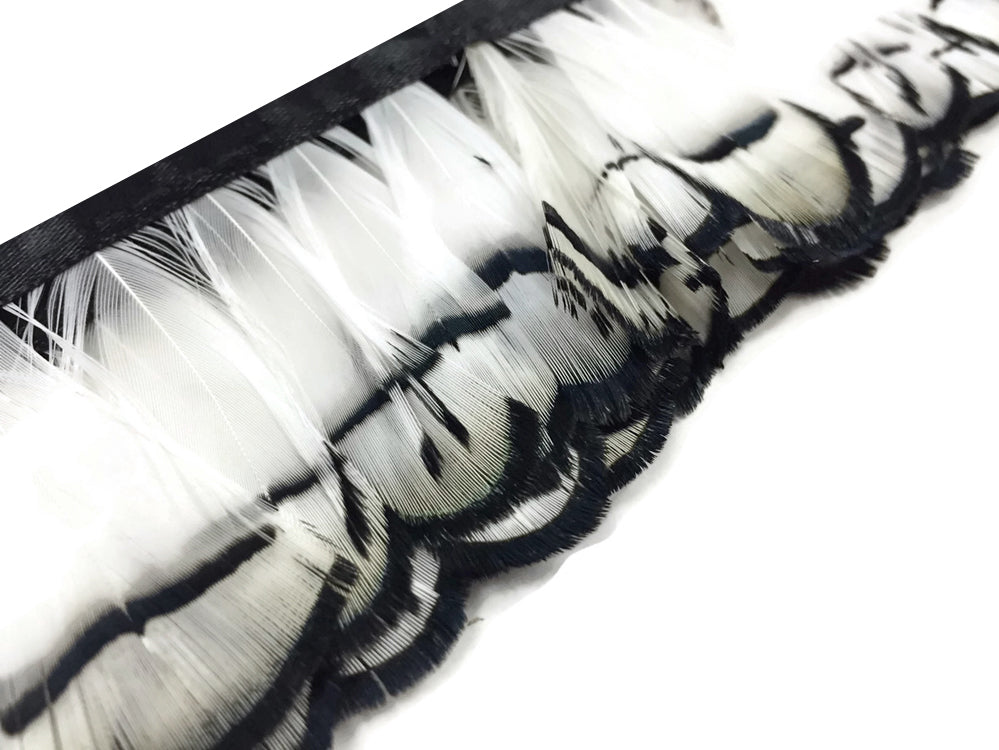 1 yard - Natural White Lady Amherst Accent Feathers for Wedding Backdrops & Arches