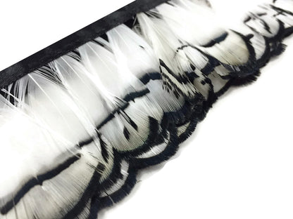 1 yard - Natural White Lady Amherst Accent Feathers for Wedding Backdrops & Arches