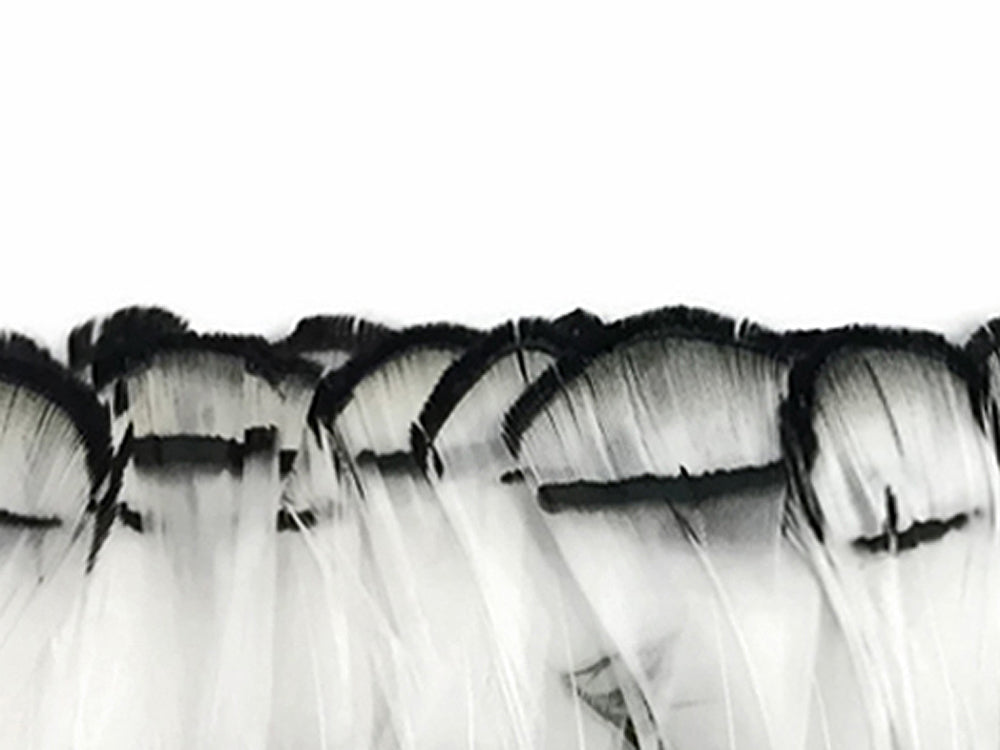 1 yard - Natural White Lady Amherst Accent Feathers for Wedding Backdrops & Arches
