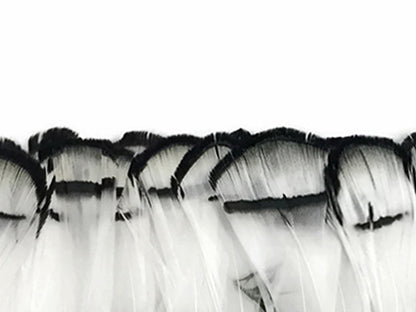 1 yard - Natural White Lady Amherst Accent Feathers for Wedding Backdrops & Arches