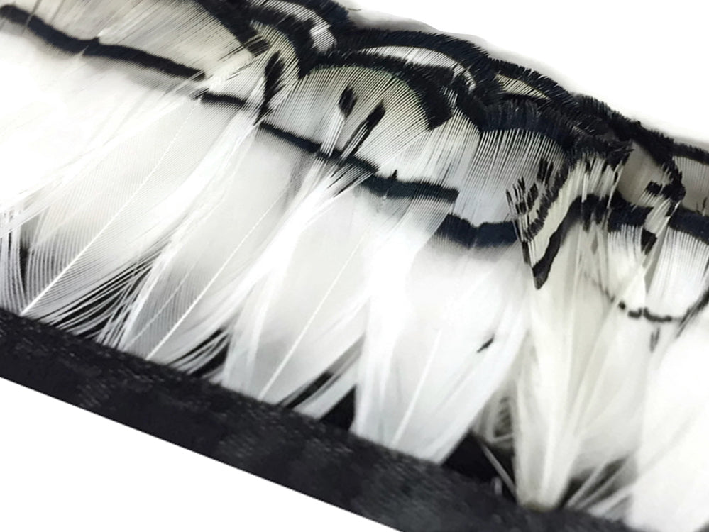1 yard - Natural White Lady Amherst Accent Feathers for Wedding Backdrops & Arches