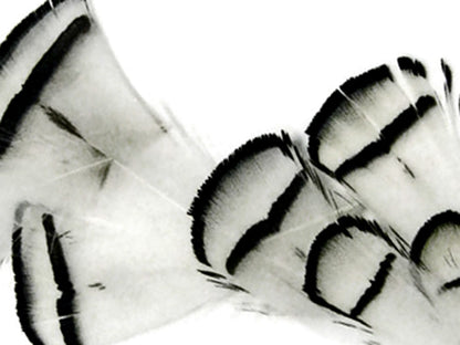 1 yard - Natural White Lady Amherst Accent Feathers for Wedding Backdrops & Arches