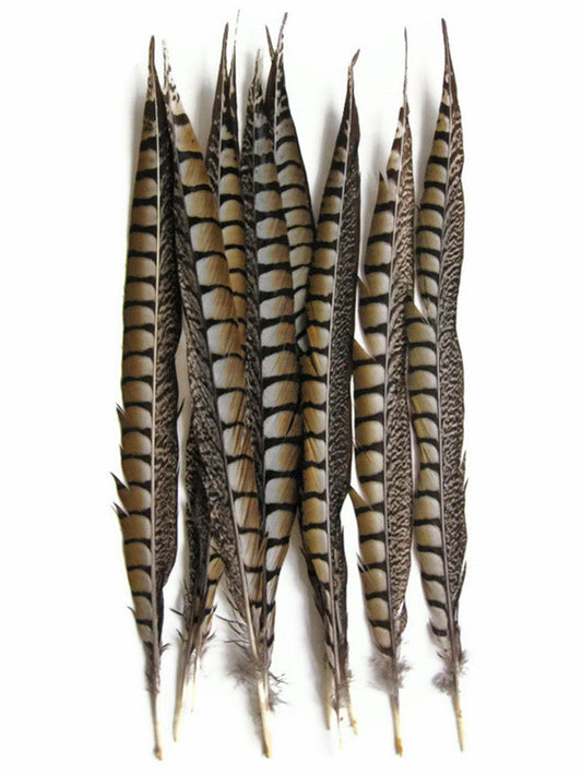 50 Pieces - 14-16" Natural Lady Amherst Pheasant Tail Wholesale Feathers (Bulk)