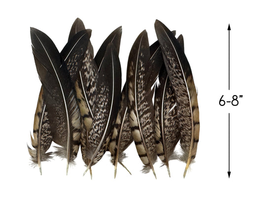 10 pieces - 6-8" Natural Striped Lady Amherst Accent Feathers for Wedding Centerpieces
