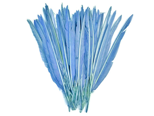 1/4 Lb. - Light Blue Goose Pointers Long Primaries Wing Wholesale Feathers (Bulk)