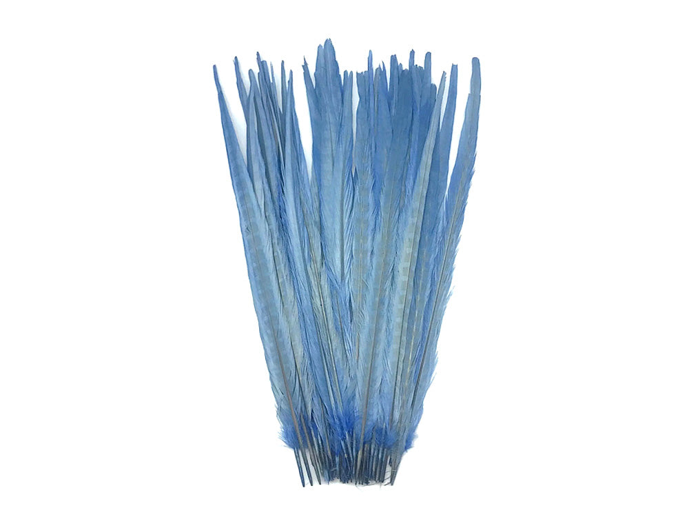 50 pieces - 18-22" Light Blue Bleached Dyed Ringneck Accent Feathers for Wedding Backdrops & Arches