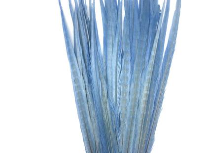50 pieces - 18-22" Light Blue Bleached Dyed Ringneck Accent Feathers for Wedding Backdrops & Arches