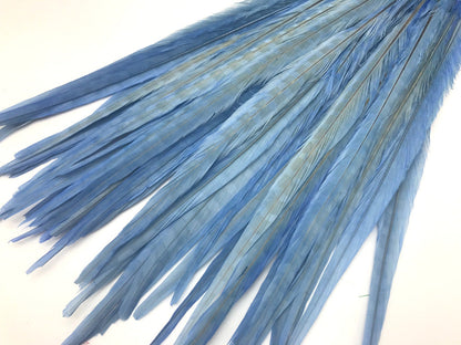 50 pieces - 18-22" Light Blue Bleached Dyed Ringneck Accent Feathers for Wedding Backdrops & Arches