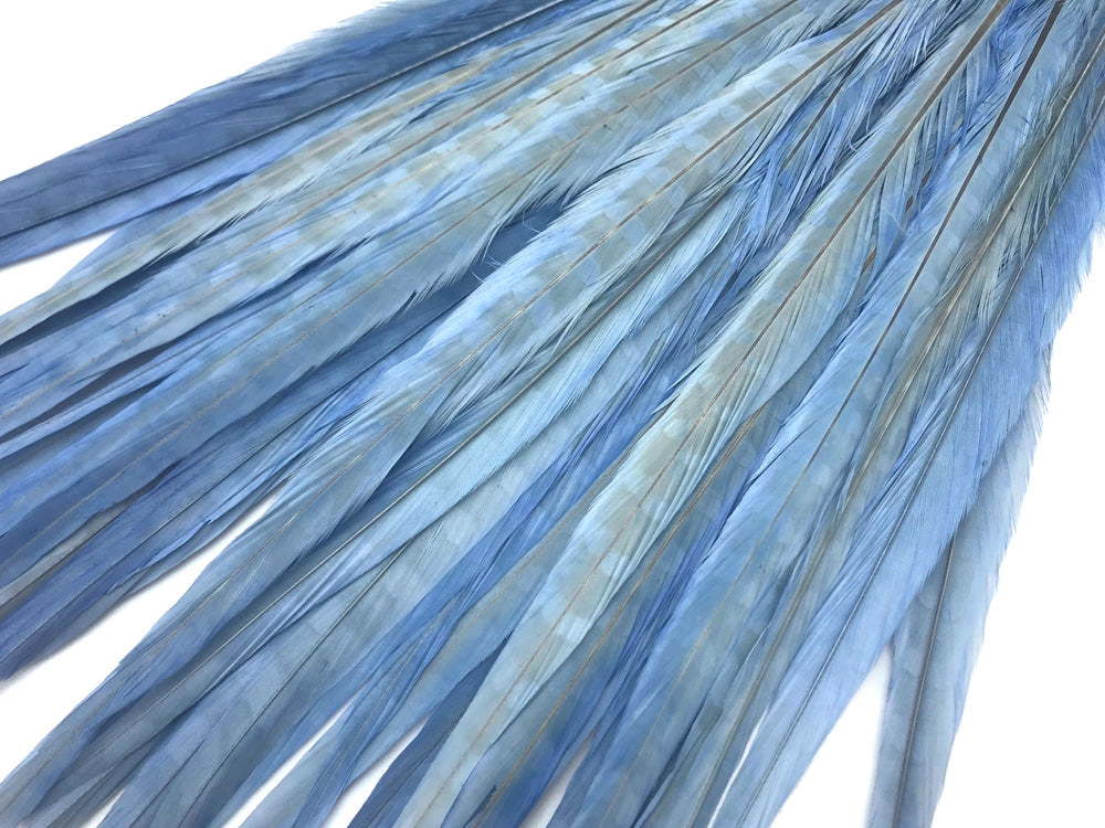 10 pieces - 18-22" Light Blue Bleached Dyed Ringneck Accent Feathers for Wedding Centerpieces