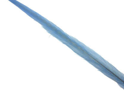 50 pieces - 18-22" Light Blue Bleached Dyed Ringneck Accent Feathers for Wedding Backdrops & Arches