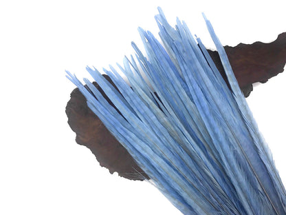 10 pieces - 18-22" Light Blue Bleached Dyed Ringneck Accent Feathers for Wedding Centerpieces