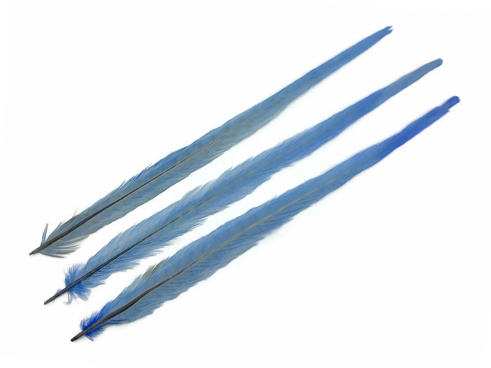 50 pieces - 18-22" Light Blue Bleached Dyed Ringneck Accent Feathers for Wedding Backdrops & Arches